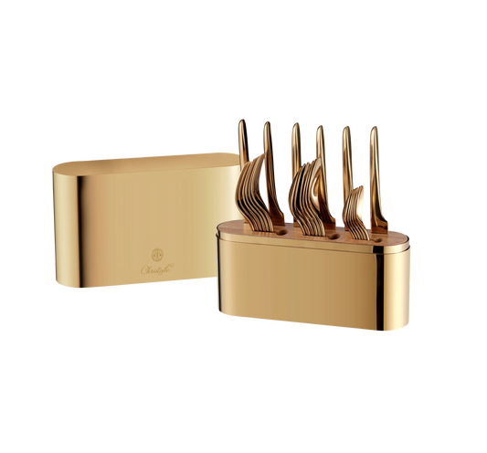 CONCORDE 24pcs Stainless Steel Set with Case - Gold Bakhache Lifestyle Australia